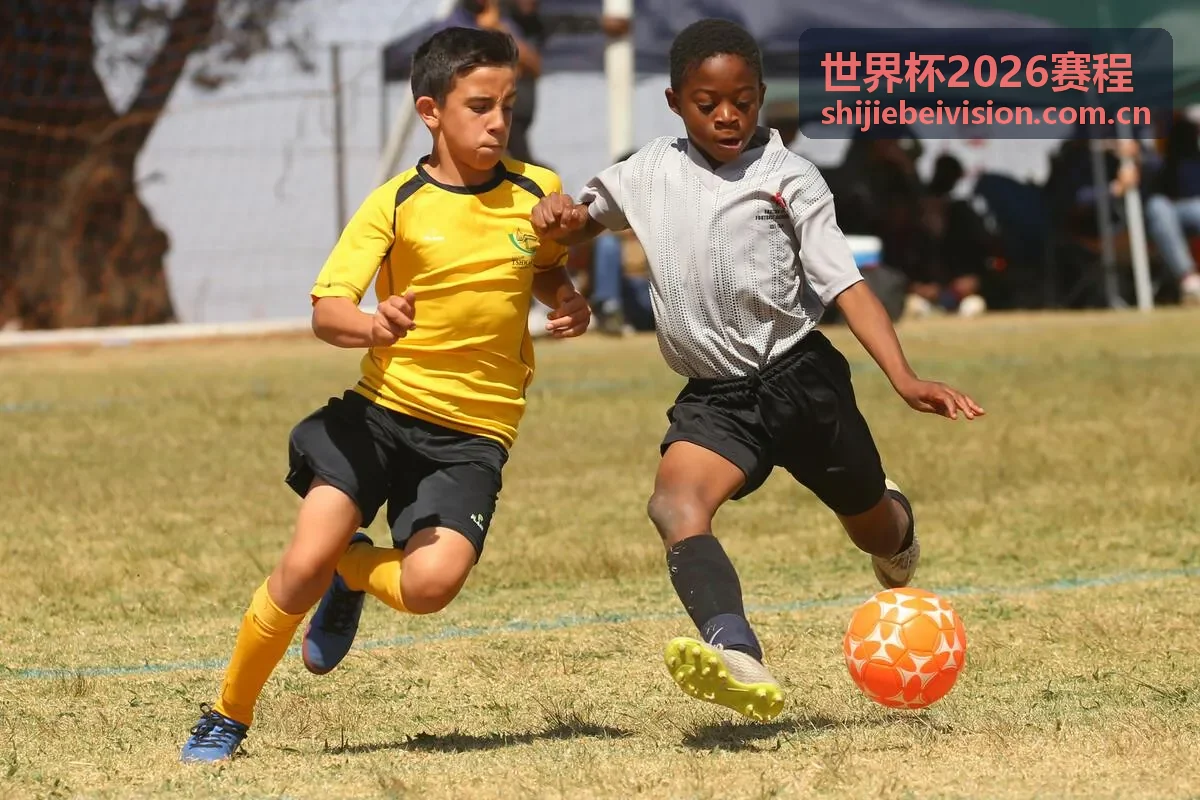世界杯2026赛程球队巡礼板块